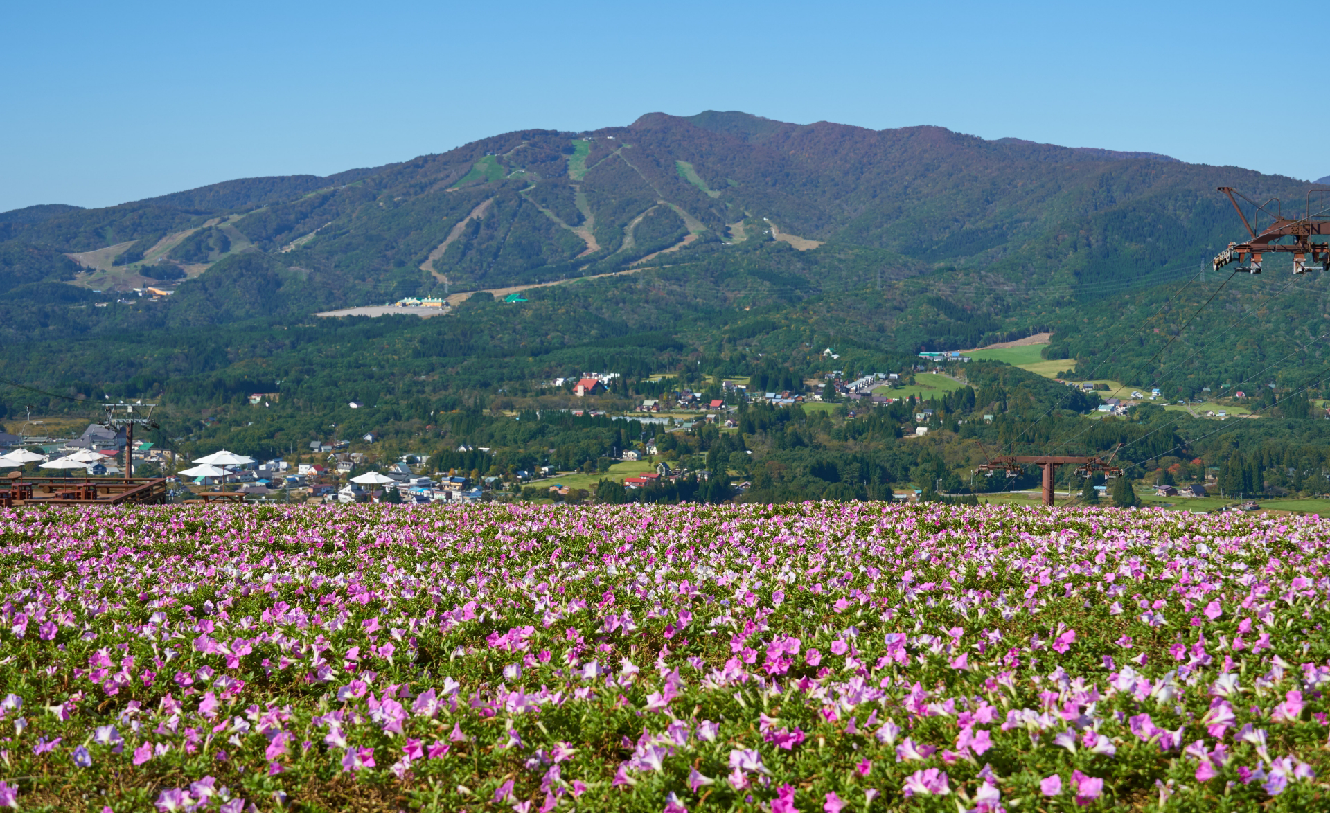 日置測量登記事務所